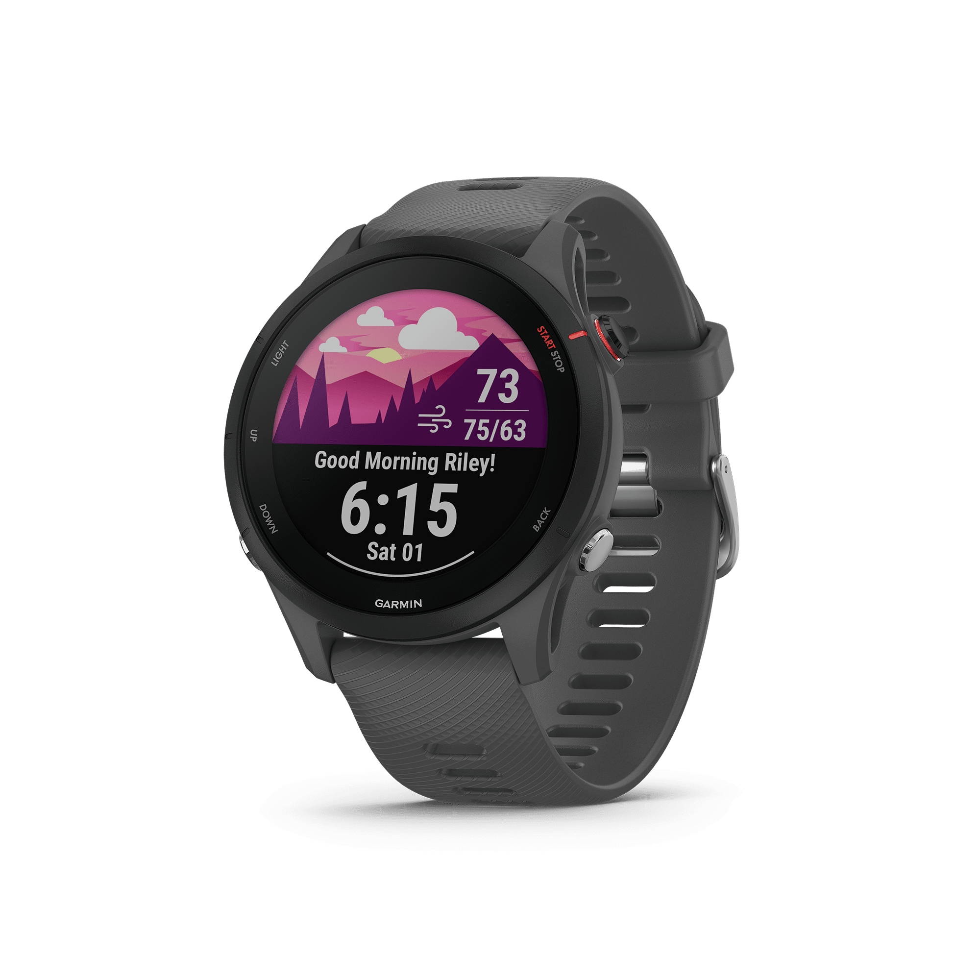 Garmin Forerunner 255 in Slate Gray