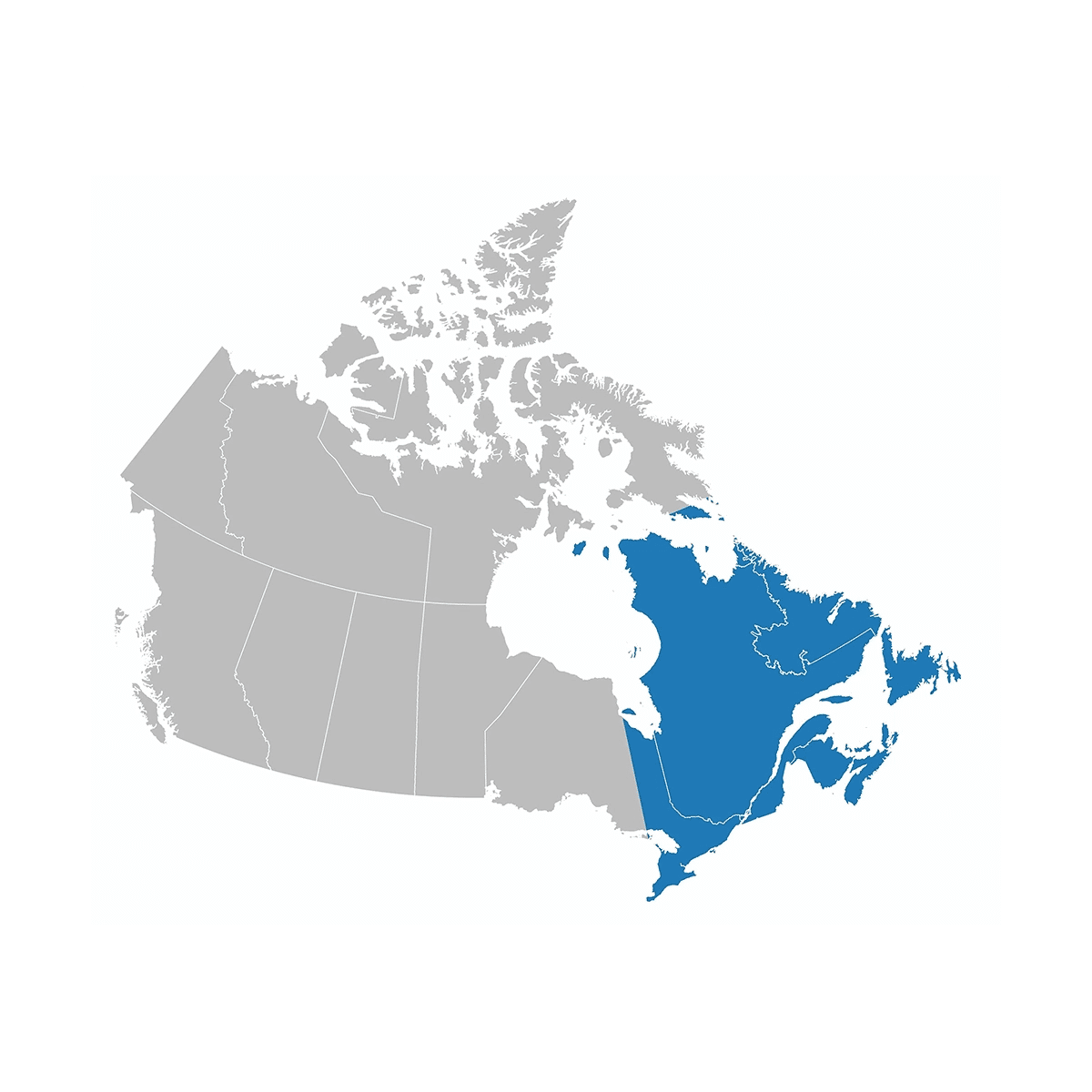 Garmin TOPO Canada Maps on microSD (with DEM) - Canada EAST